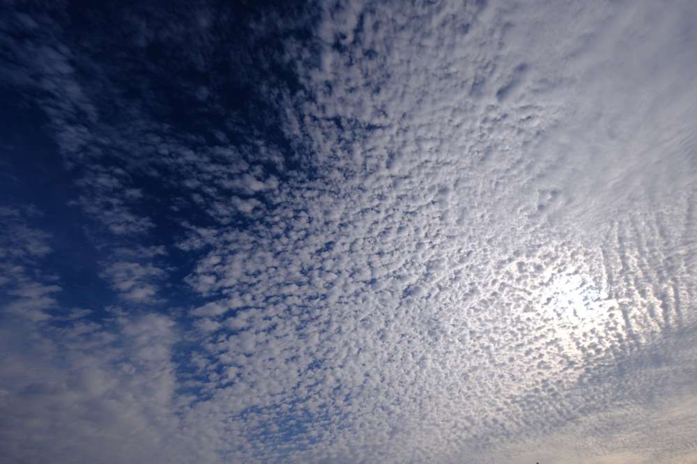 空一面に広がるうろこ雲